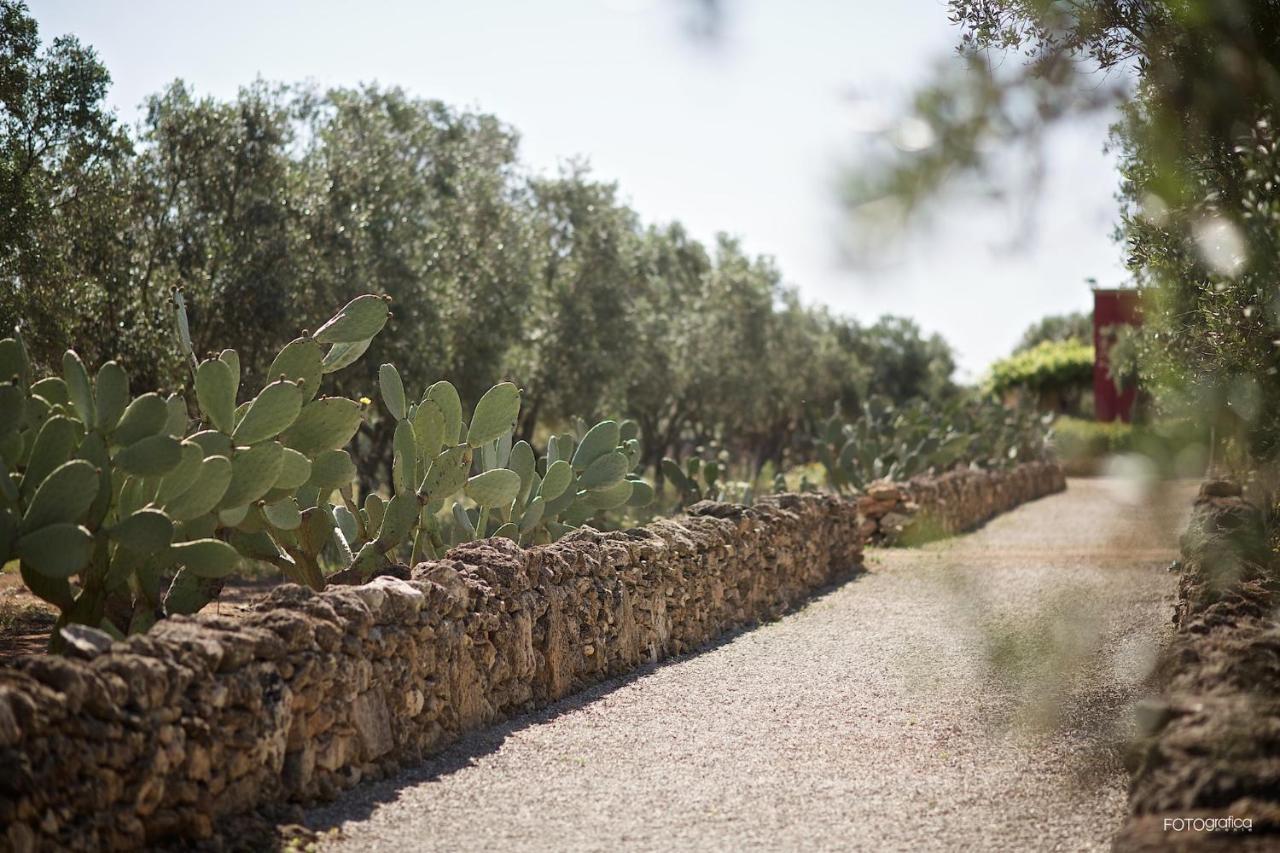 Tenuta Monacelli Λέτσε Εξωτερικό φωτογραφία