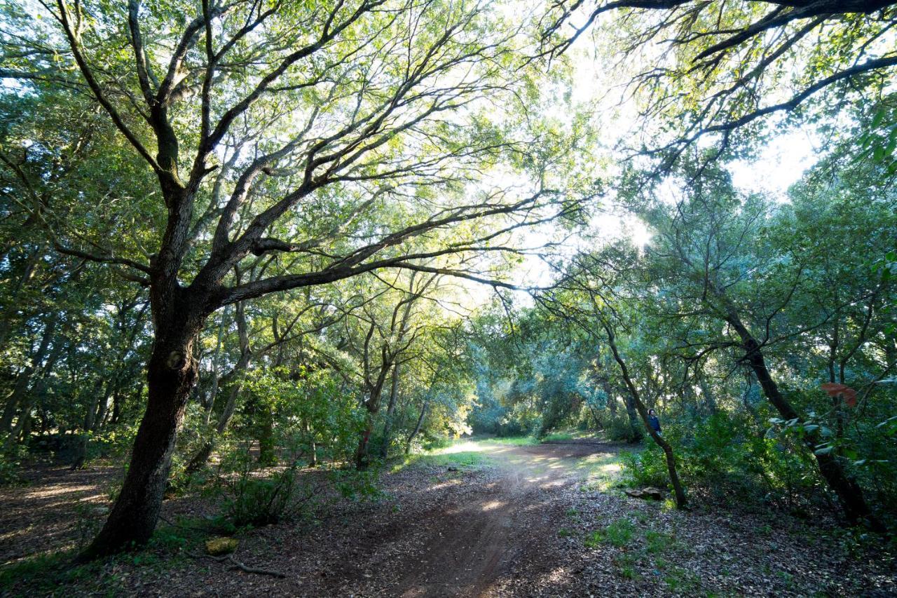 Tenuta Monacelli Λέτσε Εξωτερικό φωτογραφία