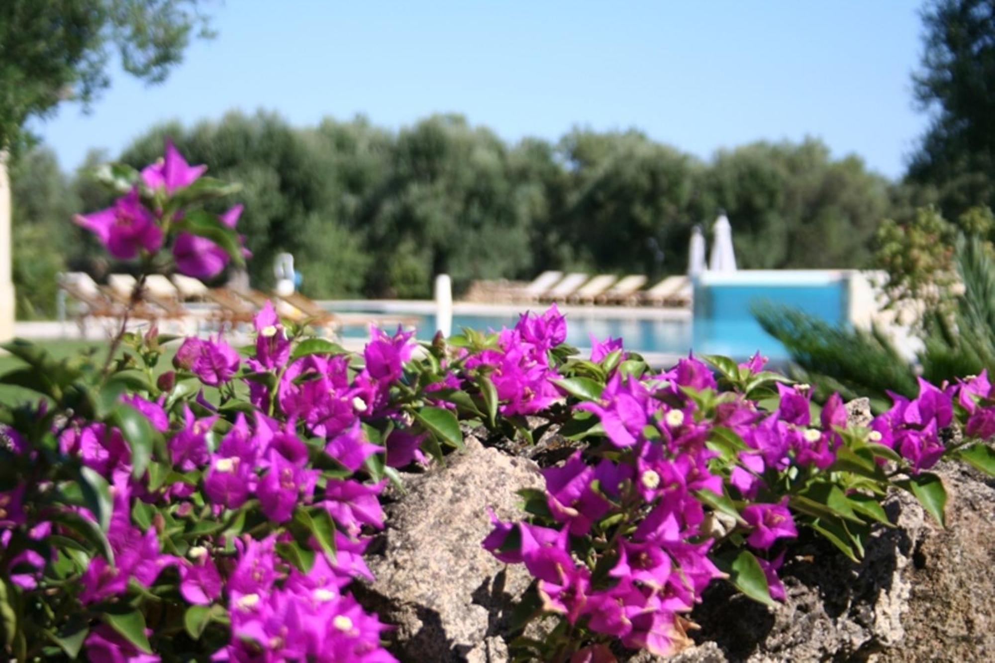 Tenuta Monacelli Λέτσε Εξωτερικό φωτογραφία